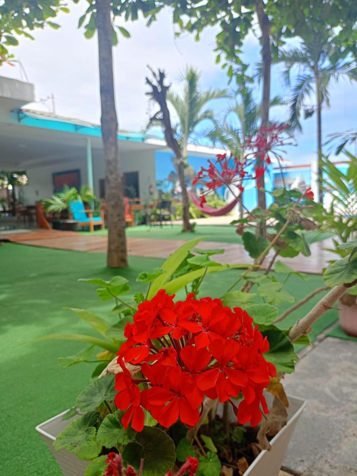 Galapagos Isabela Hotel Loja 푸에르토빌라밀 외부 사진